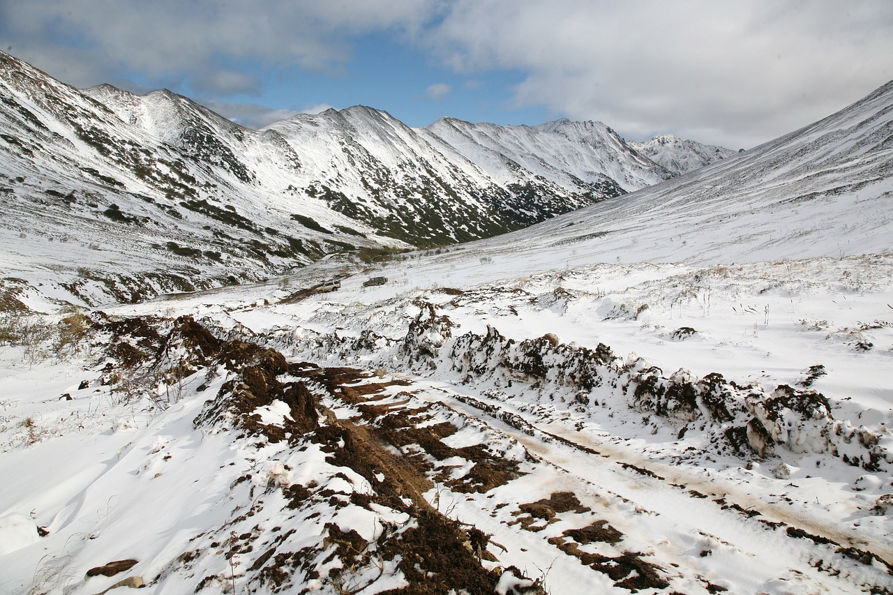 去内蒙古赏秋变看雪，一场穿越时空的旅程